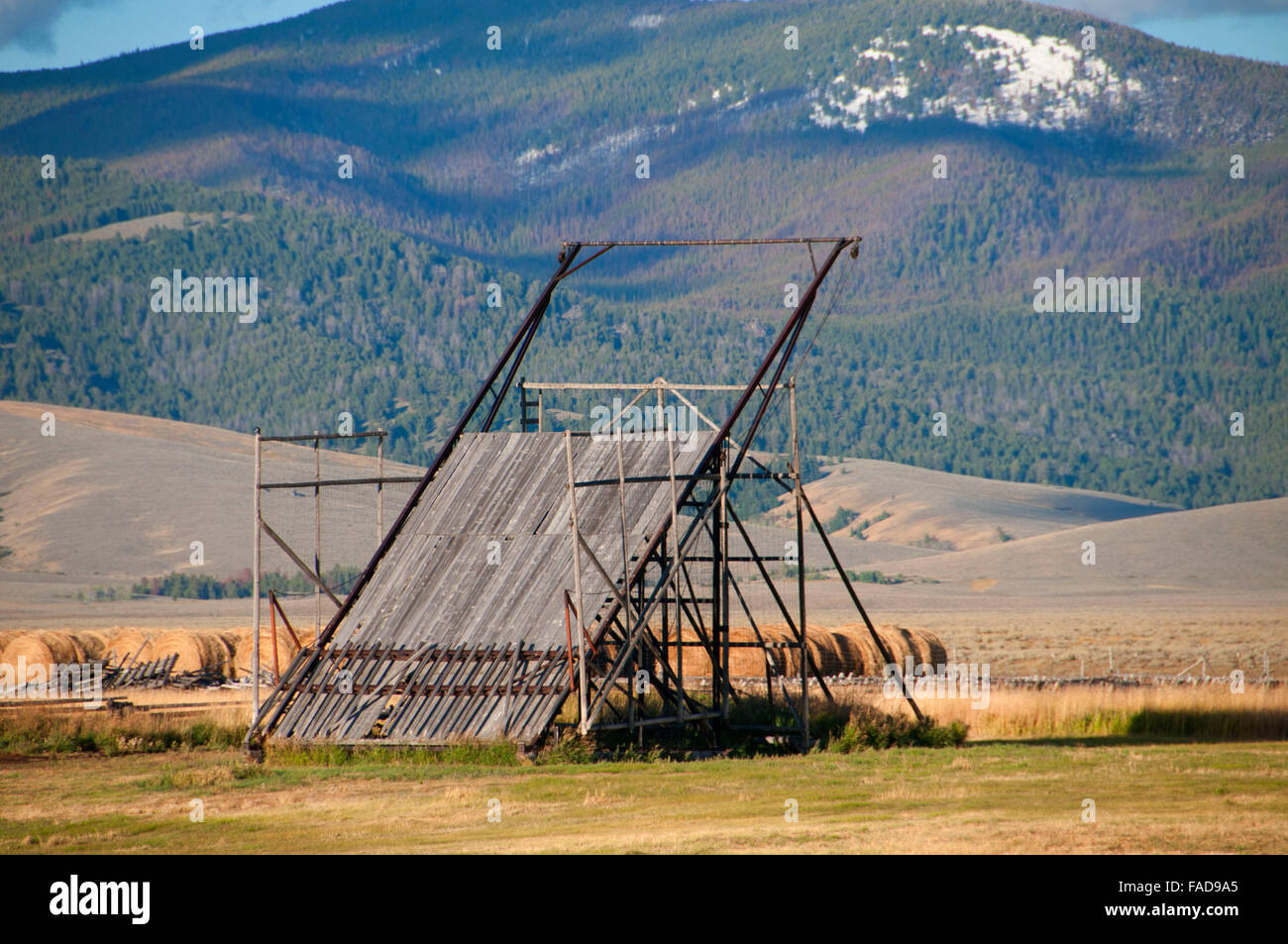 Biber schieben Sie Heu Stapler im Big Hole River Valley, Beaverhead County, Montana Stockfoto