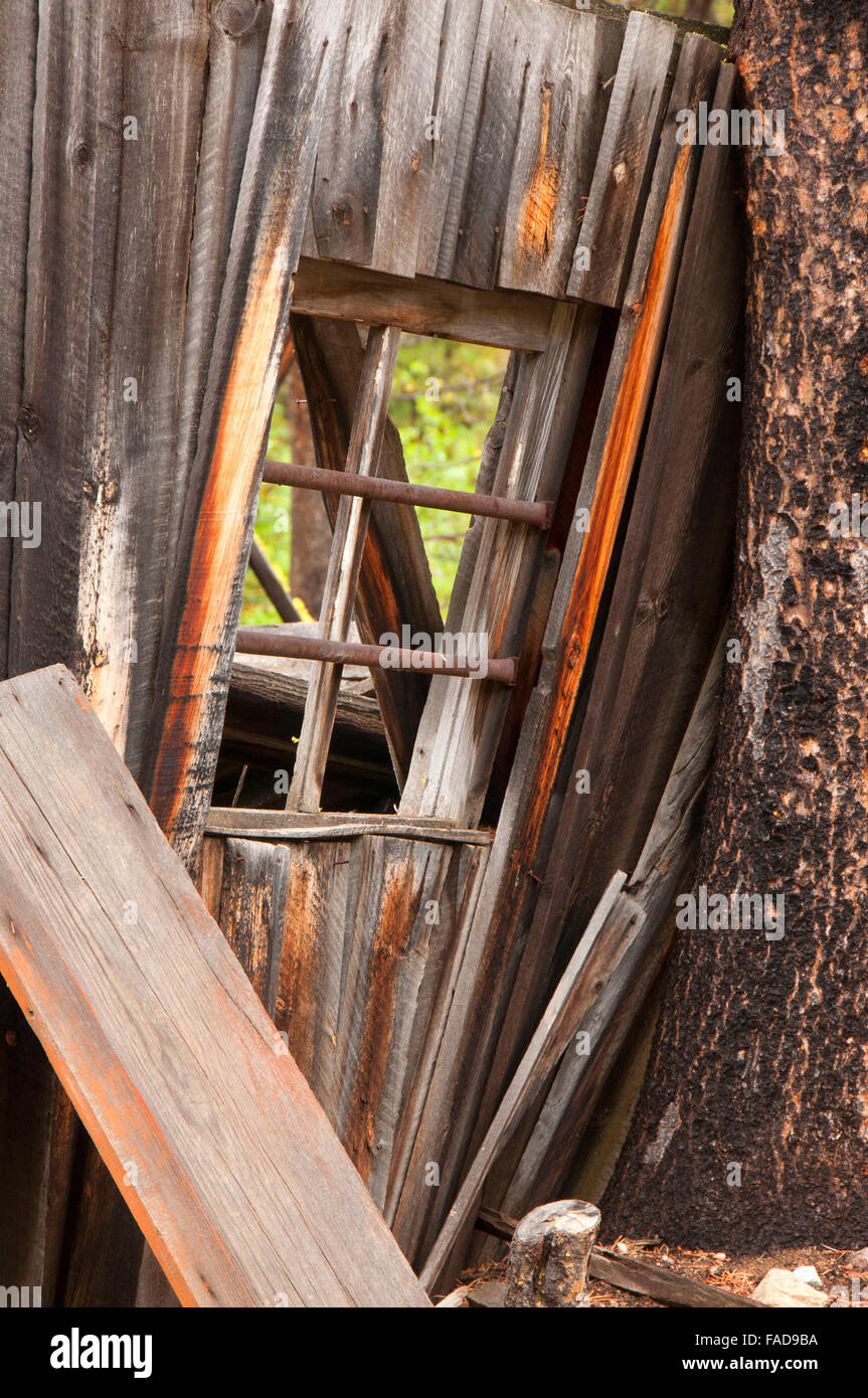 Coolidge Ghost Town, Beaverhead Deerlodge National Forest, Montana Stockfoto