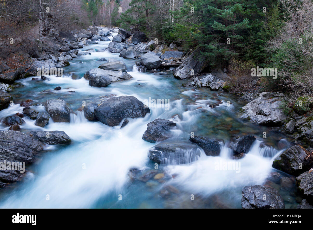 Ara-Fluss in der Nähe von Bujaruelo, Huesca, Aragon, Spanien. Stockfoto