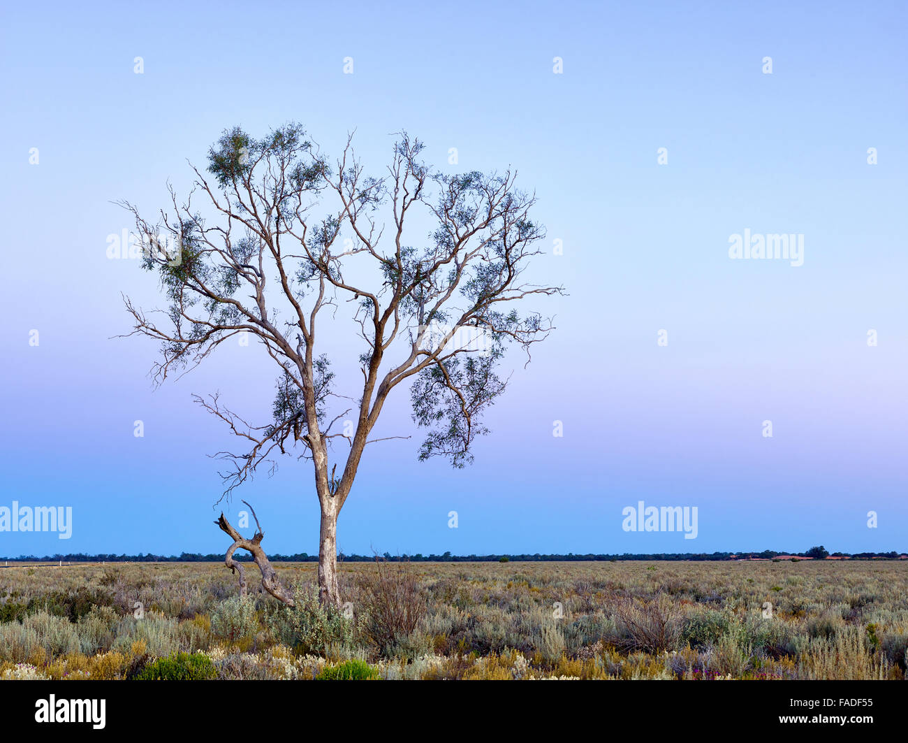 Dämmerung senkt sich über Landschaft westlich von Wentworth, New South Wales, Australien Stockfoto