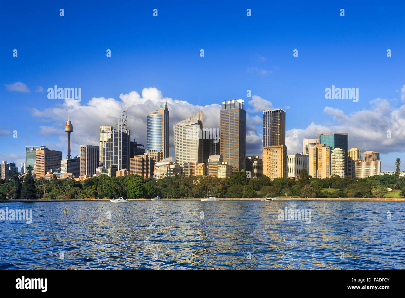 Stadtbild von Sydney CBD-Hochhaus-Türme und Bürogebäuden über königliche botanische Gärten, eine Sonne im Hafen Wasser reflektieren Stockfoto