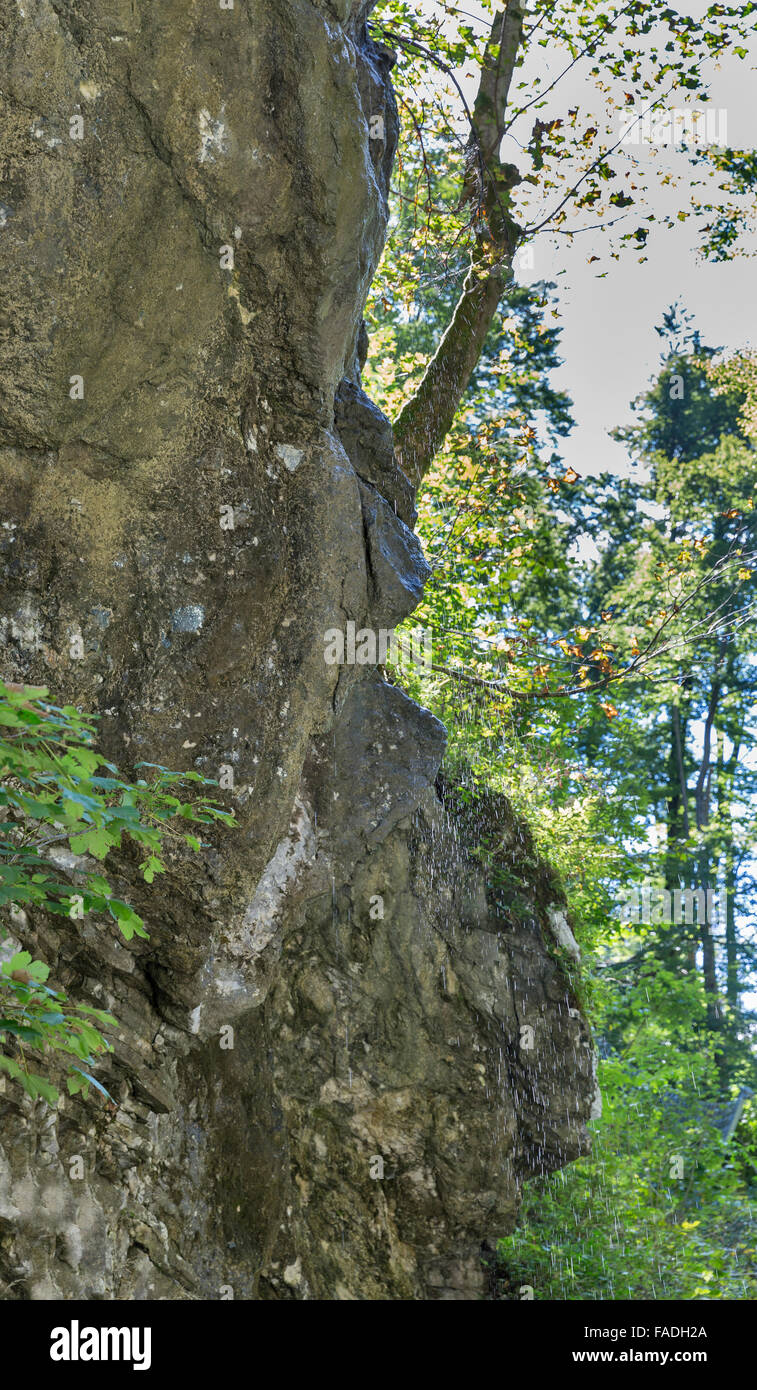 Kleiner Gebirgsbach fällt von einer Klippe in Vintgar-Schlucht. Bled, Slowenien. Stockfoto