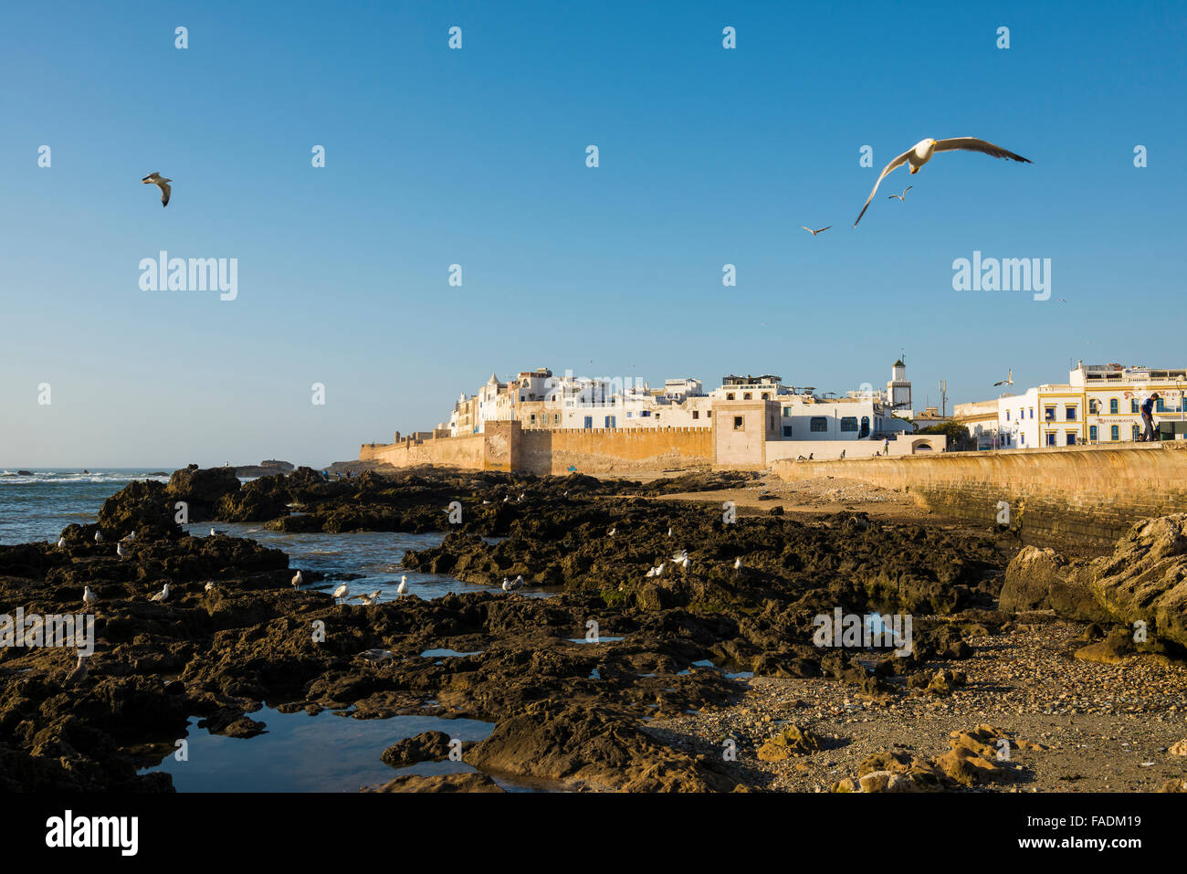Stadtbild, UNESCO-Weltkulturerbe, Essaouira, Marokko Stockfoto