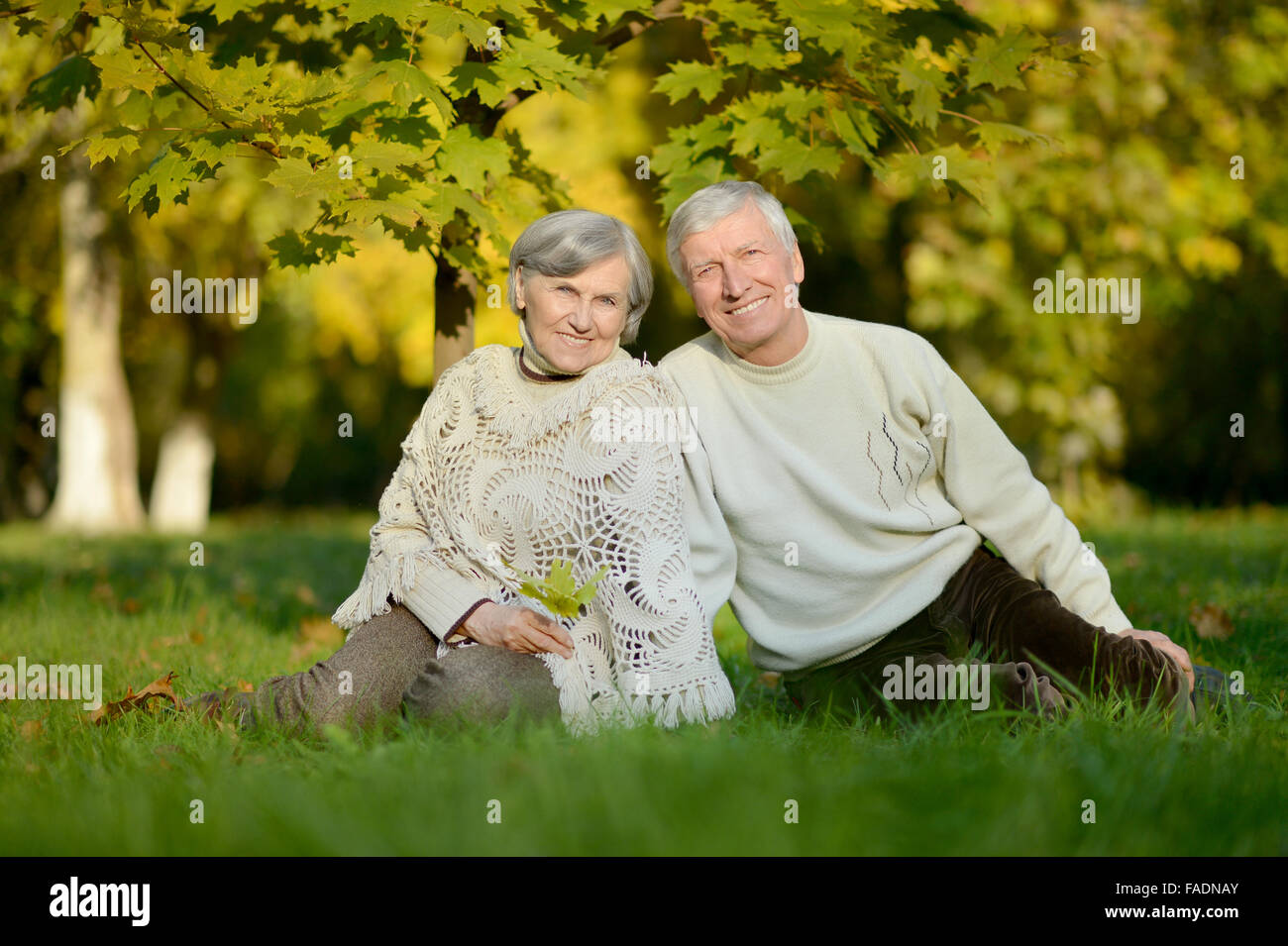 älteres Ehepaar sitzt in der herbstlichen Natur Stockfoto