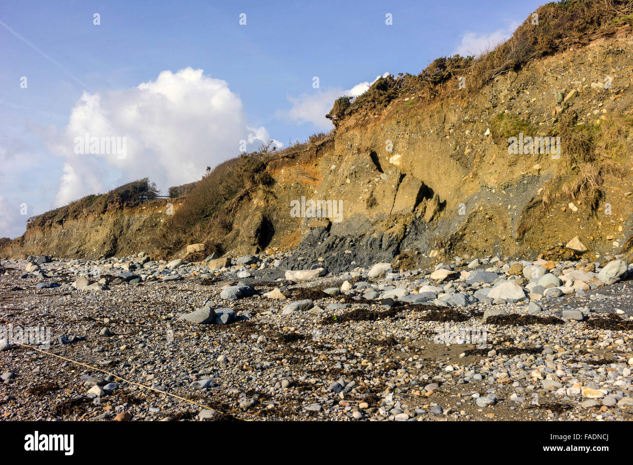 Küstenerosion auf der Langdistanz walisischen Küstenpfad am Criccieth nach den Winterstürmen 2014 gesehen vom Strand entfernt. Stockfoto