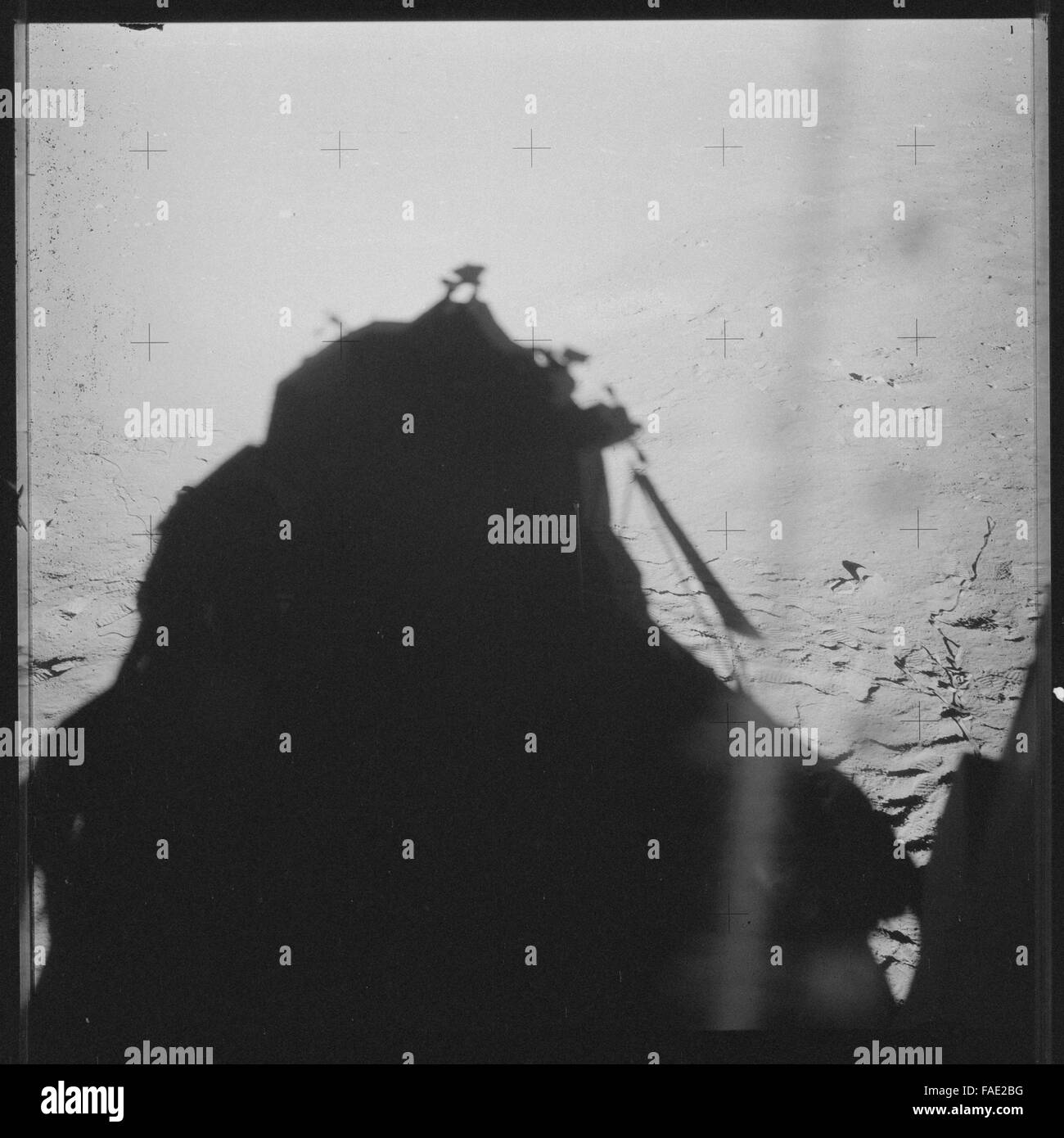 Dieses fotografische Archiv von Apollo 12 erfasst unbearbeitete Bilder der Mission, darunter die Astronauten Charles Conrad, Richard Gordon und Alan Beans Mondoberfläche im Jahr 1969. Die Crew absolvierte zwei erfolgreiche EVAs im Ozean der Stürme. Stockfoto