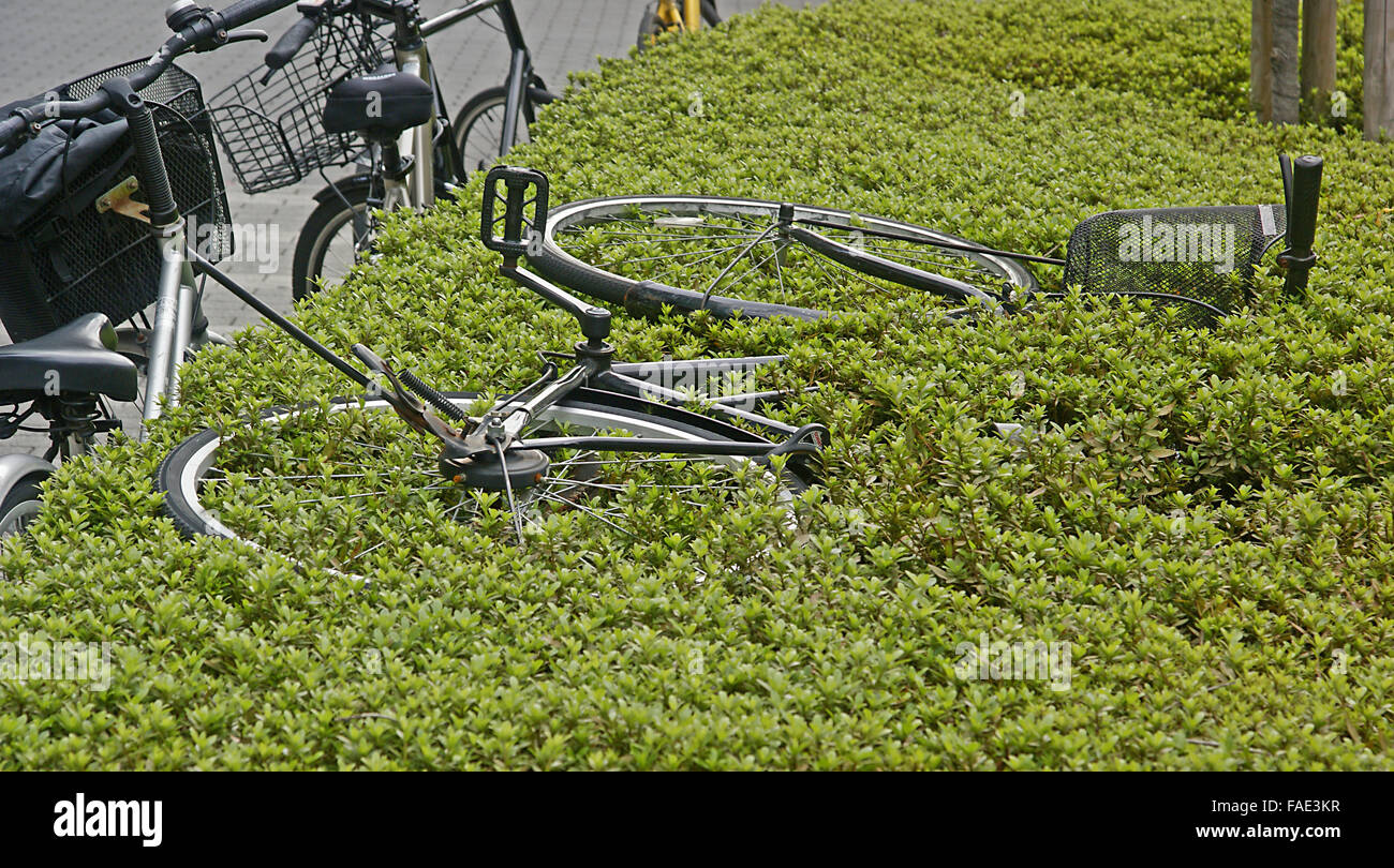 Gedumpten und verlassene Fahrrad in Hecke Stockfoto