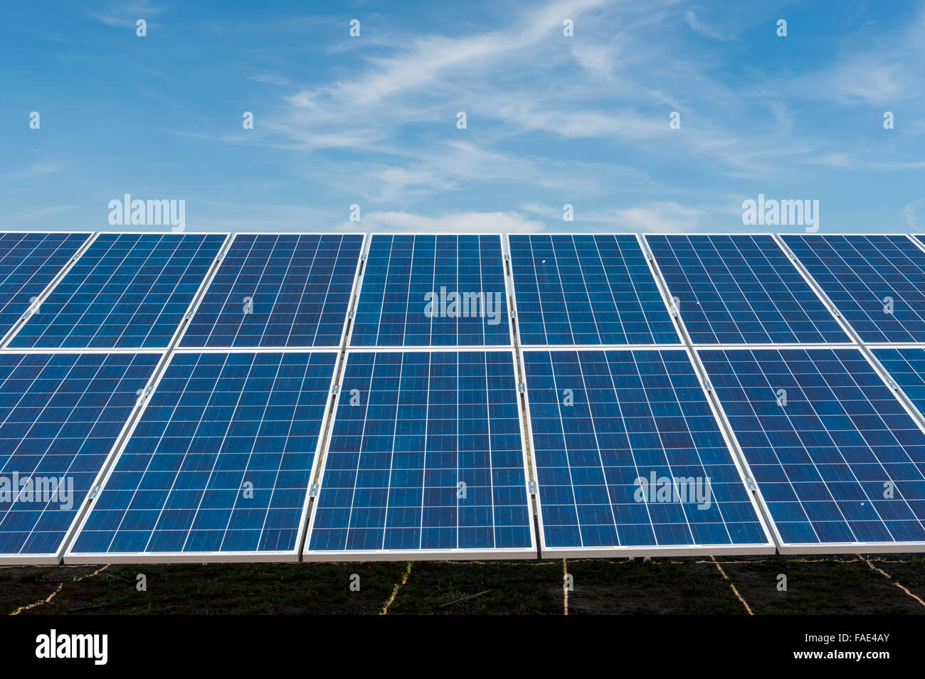 Solar-Panel auf einer Farm in Eden, MD Stockfoto