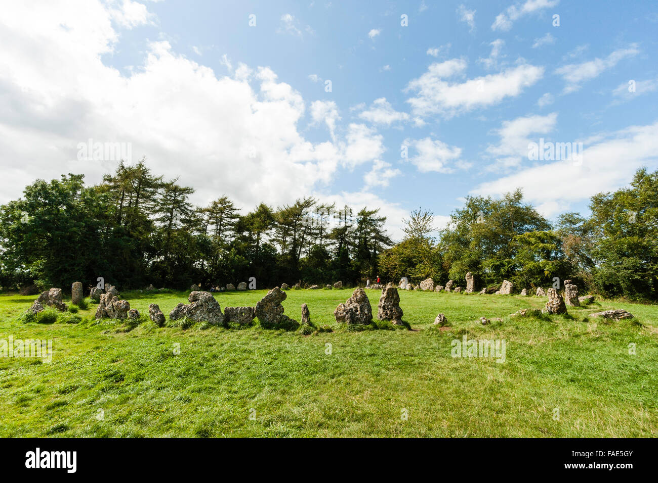 England, Oxfordshire, der Rollright Stones. Eine späte Jungsteinzeit, Bronzezeit, feierliche Stone Circle, genannt "King's Men". Tagsüber, Sommer, blauer Himmel. Stockfoto