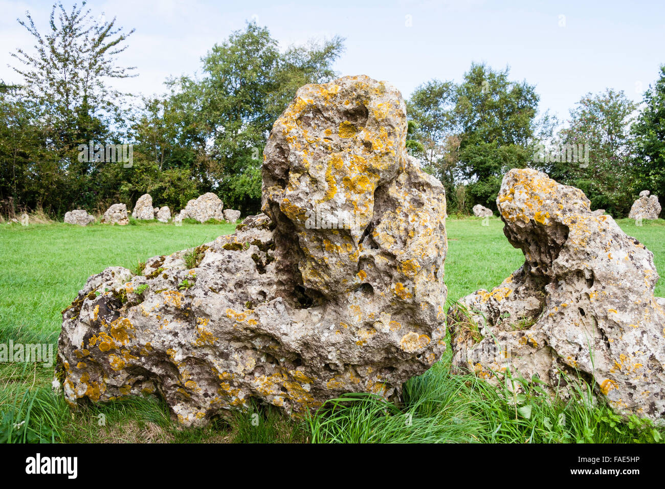 England, Oxfordshire, der Rollright Stones. Eine späte Jungsteinzeit, Bronzezeit, feierliche Stone Circle, genannt "King's Men". Tagsüber, Sommer, blauer Himmel. Stockfoto