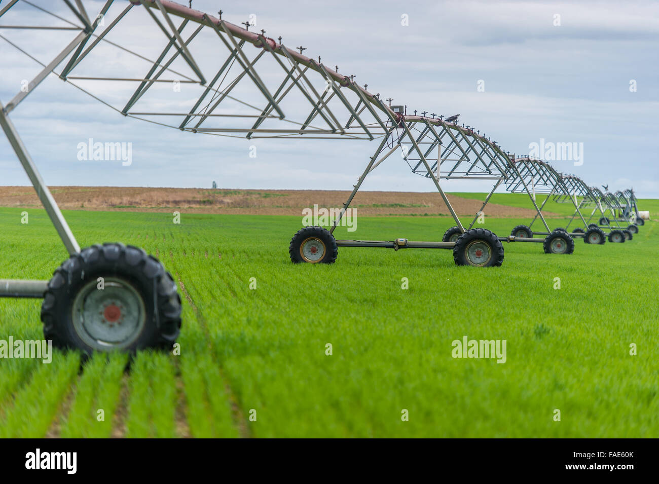 Pivot-Bewässerung-System. Stockfoto