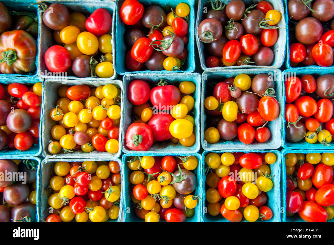 Container von lokal angebauten Tomaten Stockfoto