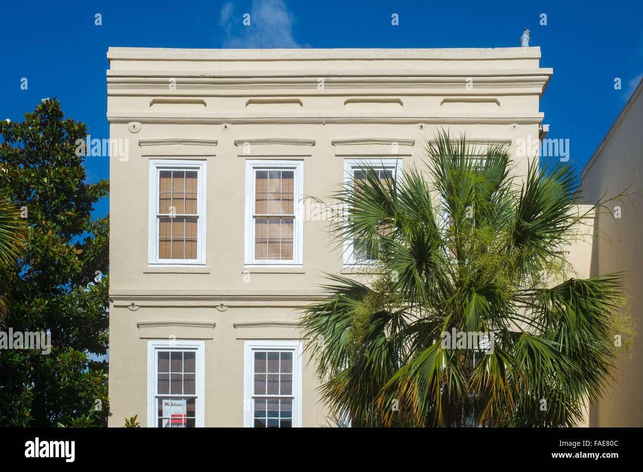 Gebäude in Charleston, South Carolina Stockfoto