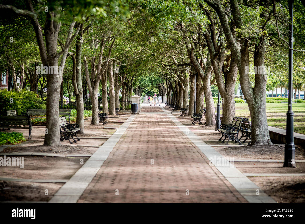 Gehweg in Charleston South Carolina Stockfoto