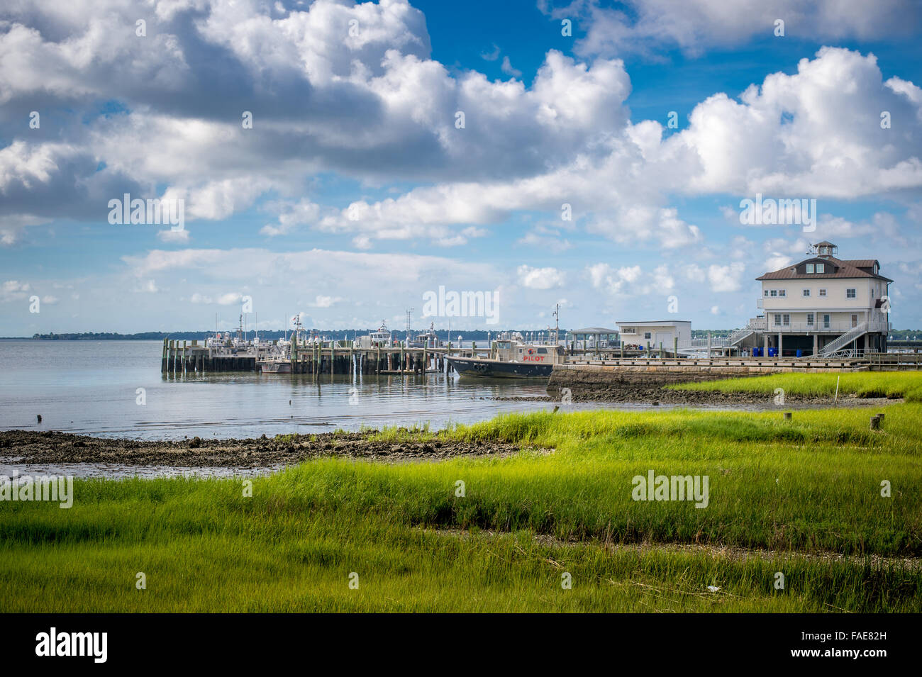 Küste von Charleston South Carolina Stockfoto