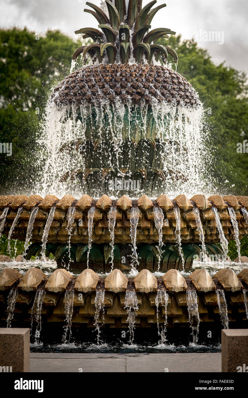 Wasser-Brunnen in Charleston South Carolina Stockfoto