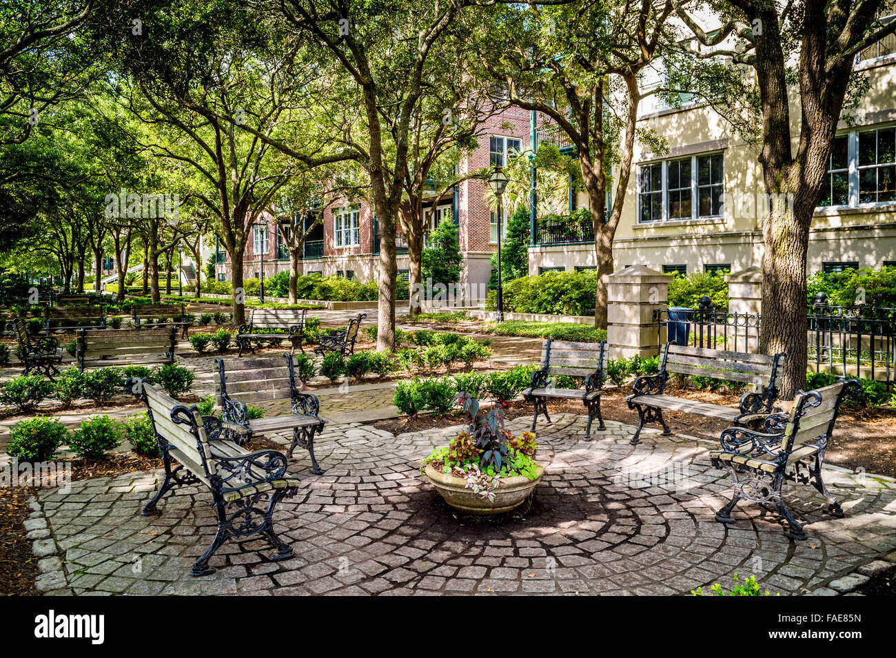 Garten in Charleston South Carolina Stockfoto