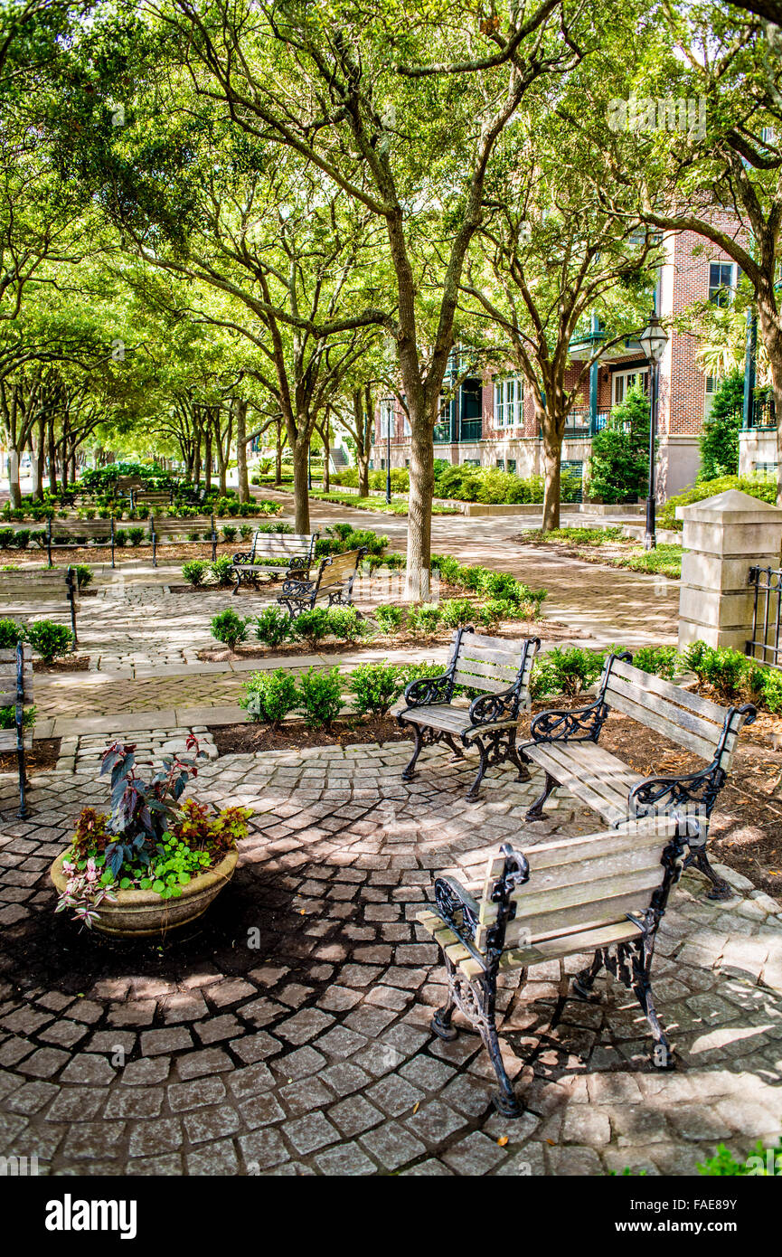 Garten in Charleston South Carolina Stockfoto