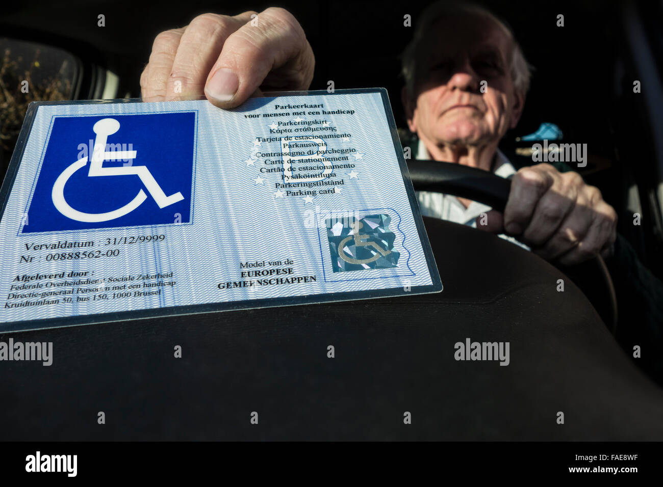 Älteren Mann setzen EU-Parkausweis für Menschen mit Behinderungen – Blue Badge - hinter der Windschutzscheibe des Autos behindert Stockfoto