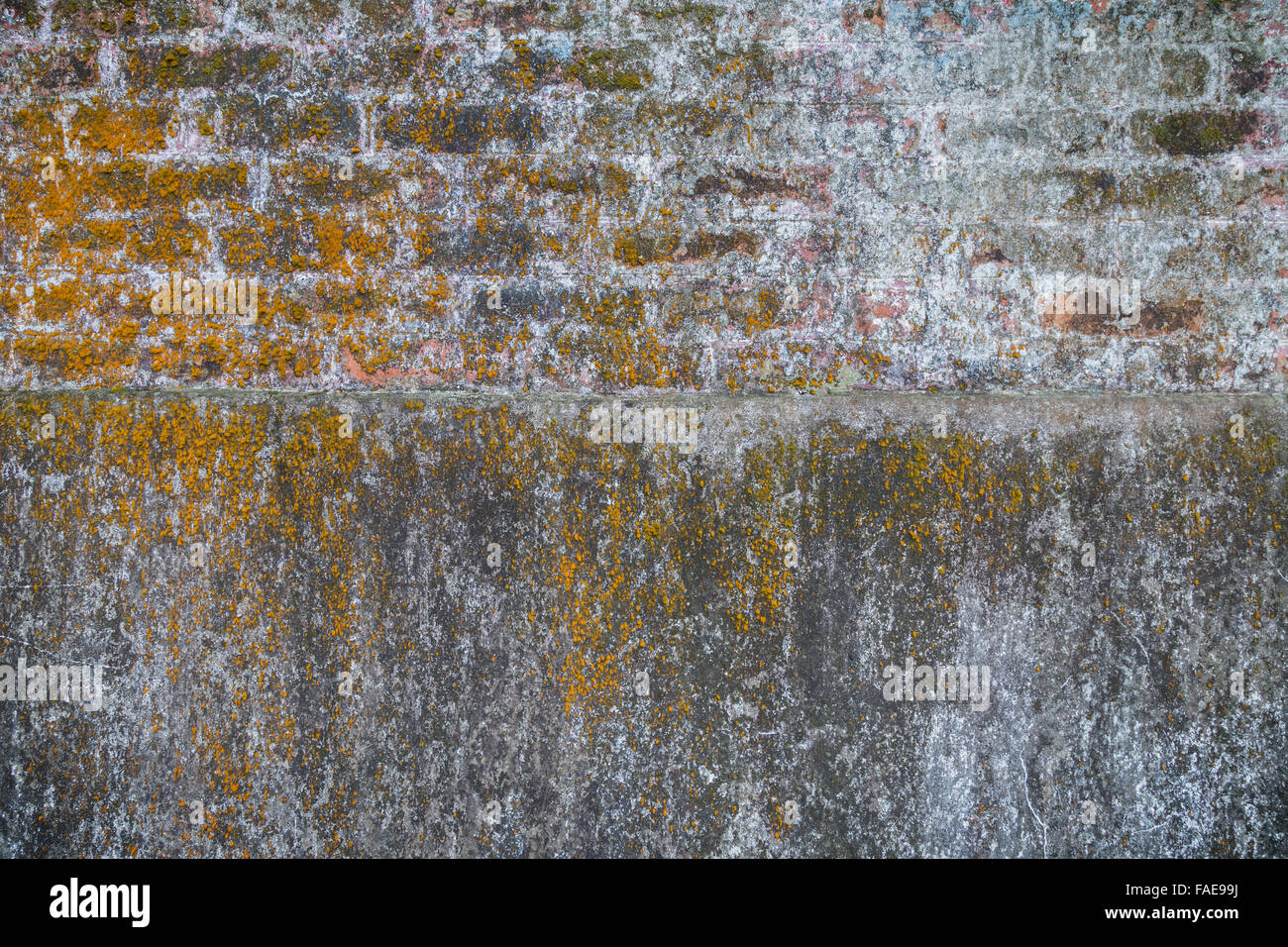 Verwittert und im Alter von grauen Beton und Ziegel-Wand mit gelben Moos, leichte Vignettierung. Stockfoto