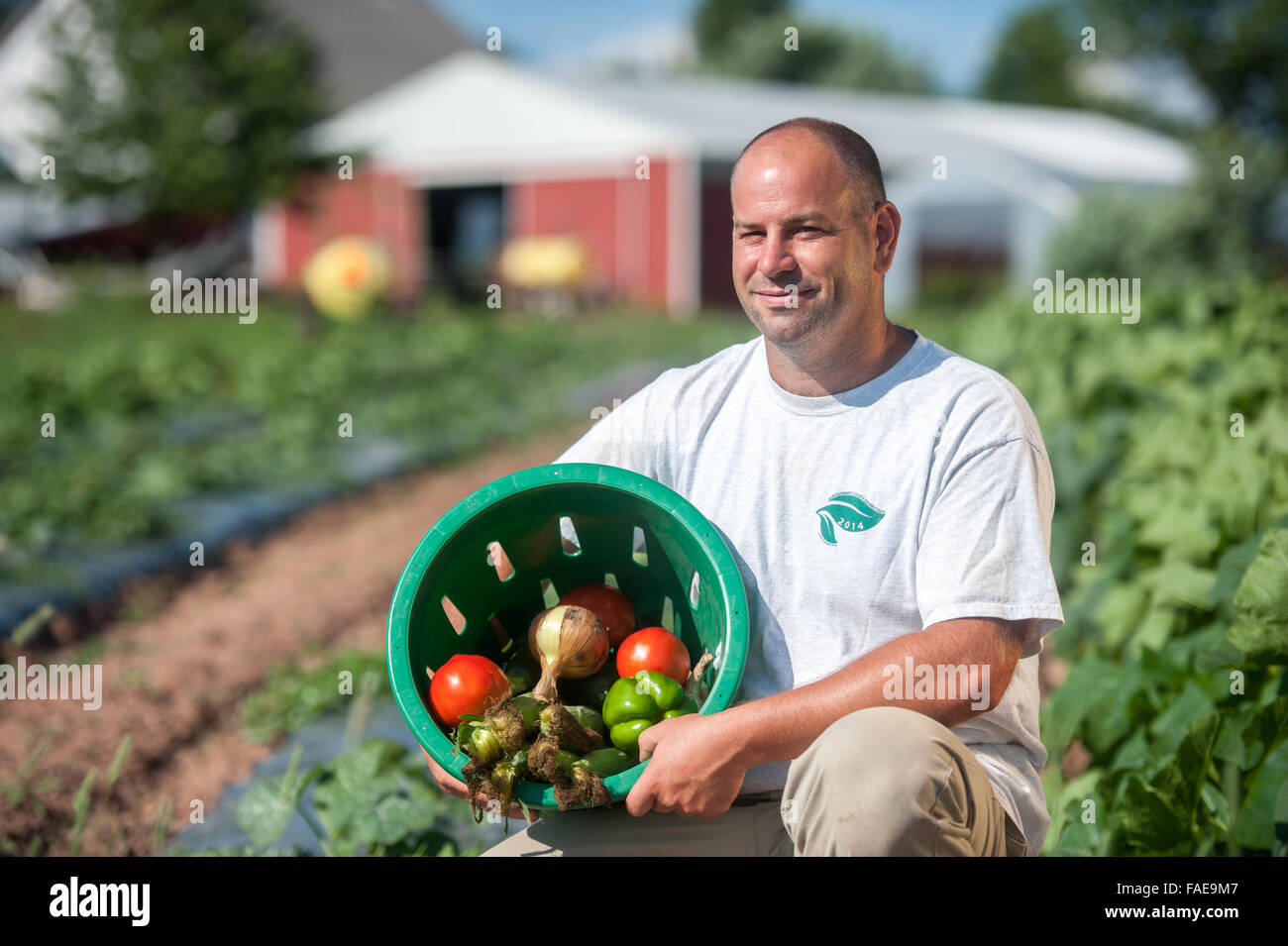 Bauer hält eine Kiste mit frisch gepflückten Produkte Stockfoto