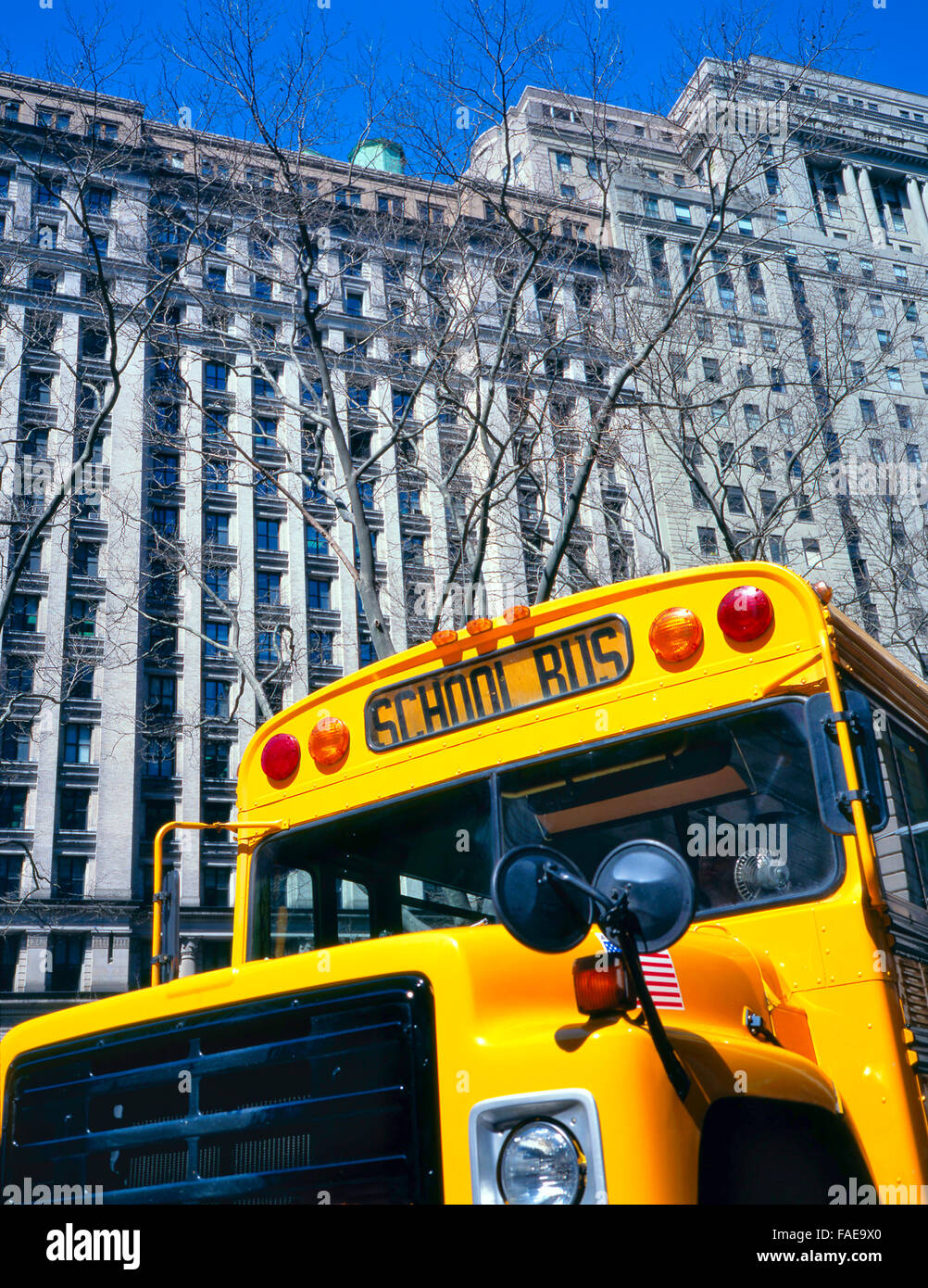 Amerikanischen Schulbus vor einem großen Gebäude und vor einem tiefblauen Himmel. Stockfoto