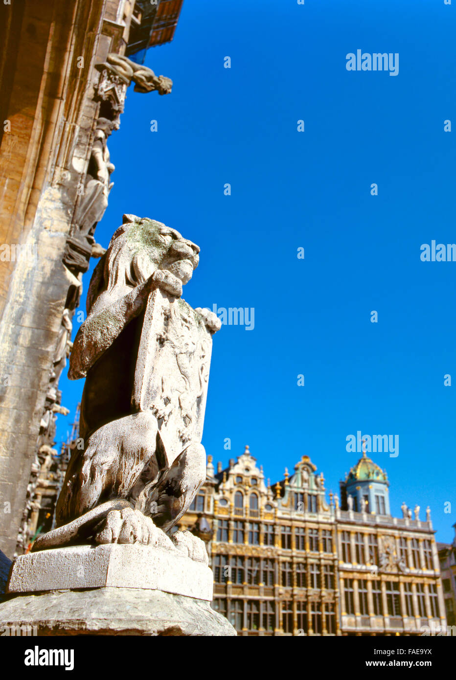 Statue eines Löwen am Eingang des Rathauses am Grand Place in Brüssel Stockfoto