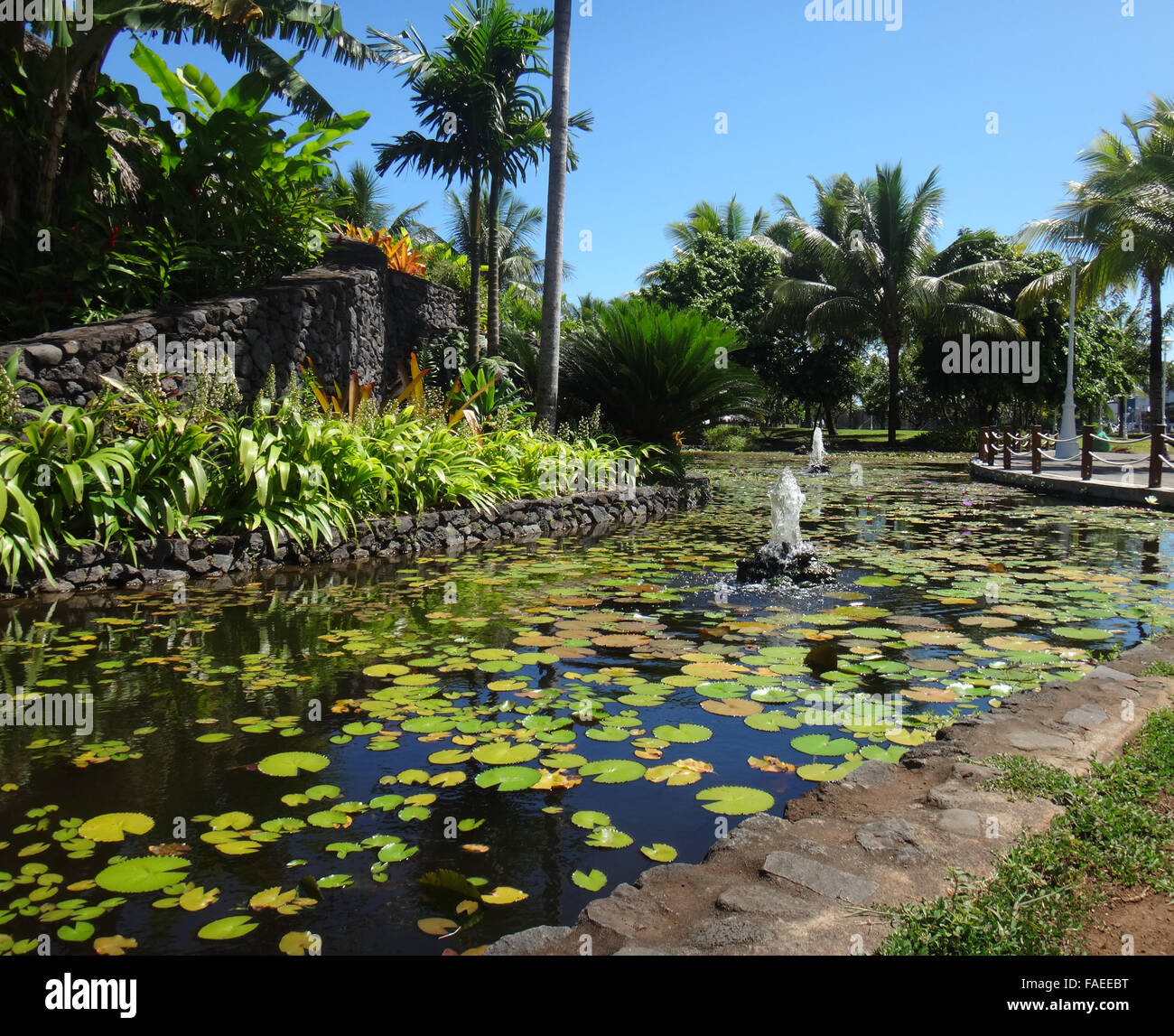 Zierfische Teich des Jardins de Pa'ofa' ich (Garten der Paofai) in