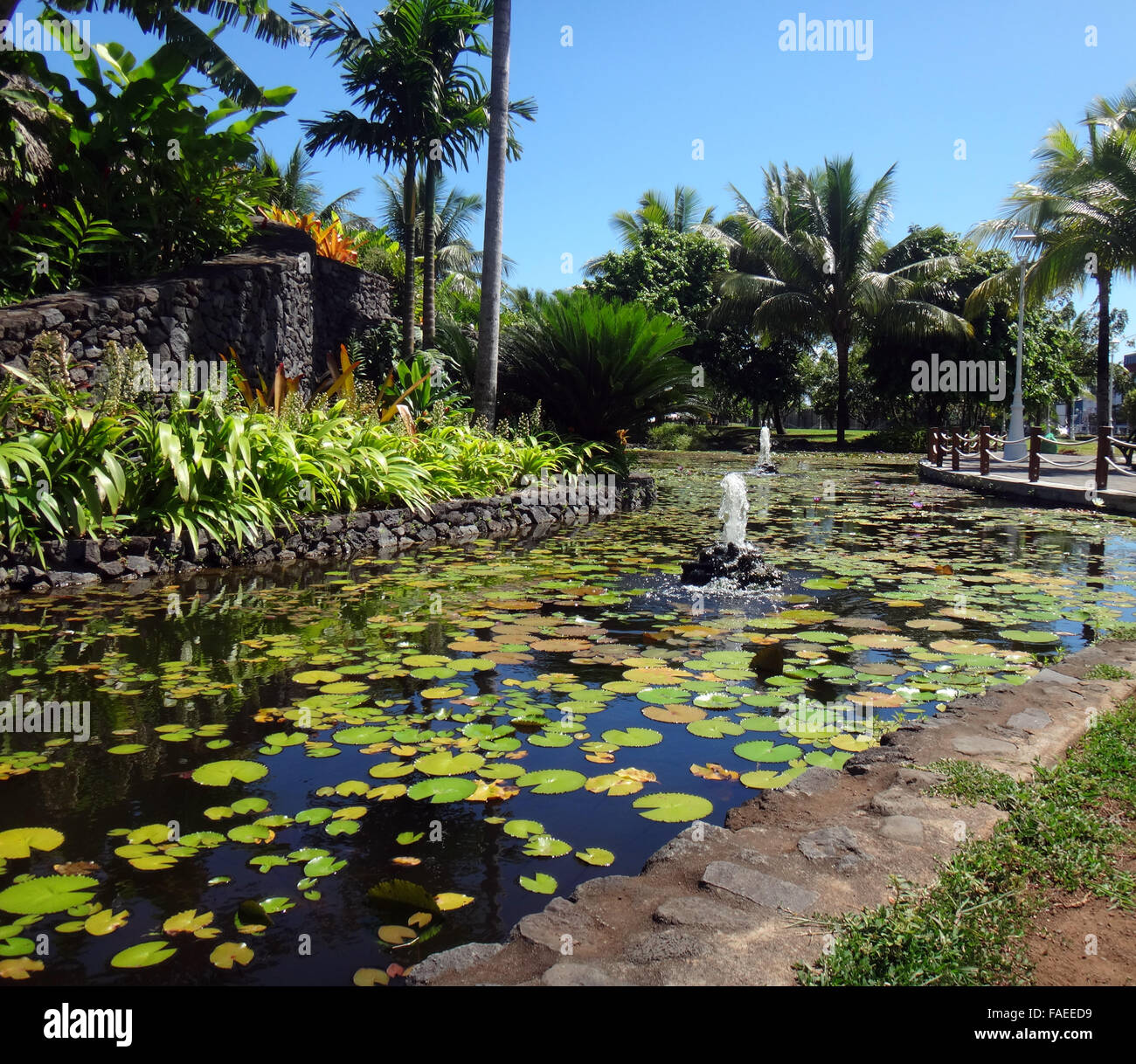 Zierfische Teich des Jardins de Pa'ofa' ich (Garten der Paofai) in Papeete, Französisch-Polynesien. Stockfoto