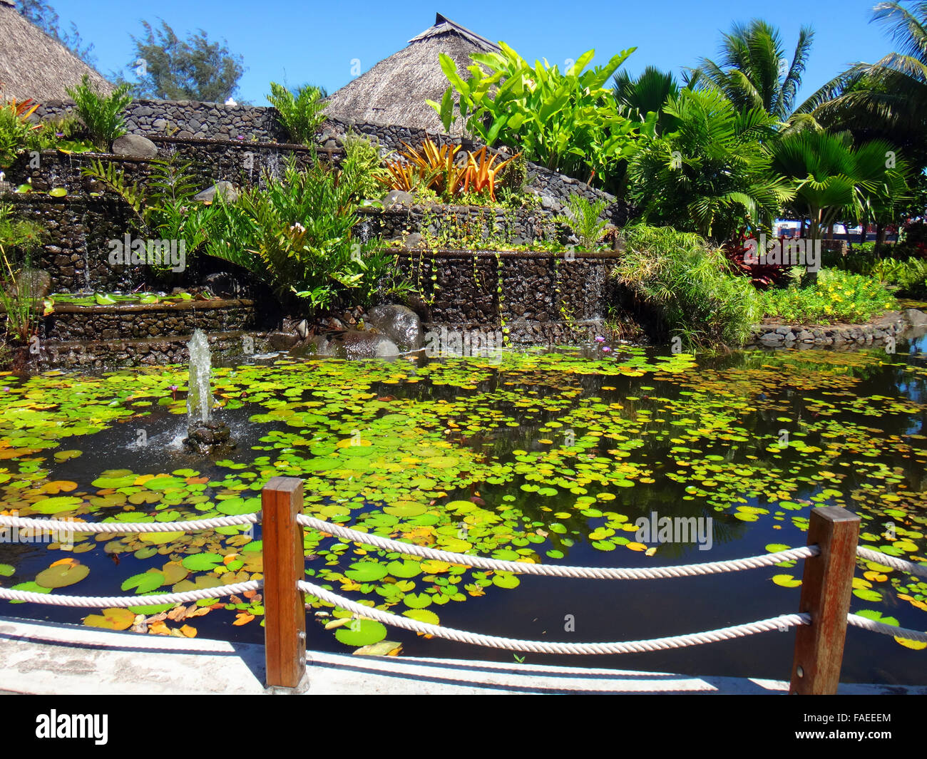 Zierfische Teich des Jardins de Pa'ofa' ich (Garten der Paofai) in Papeete, Französisch-Polynesien. Stockfoto