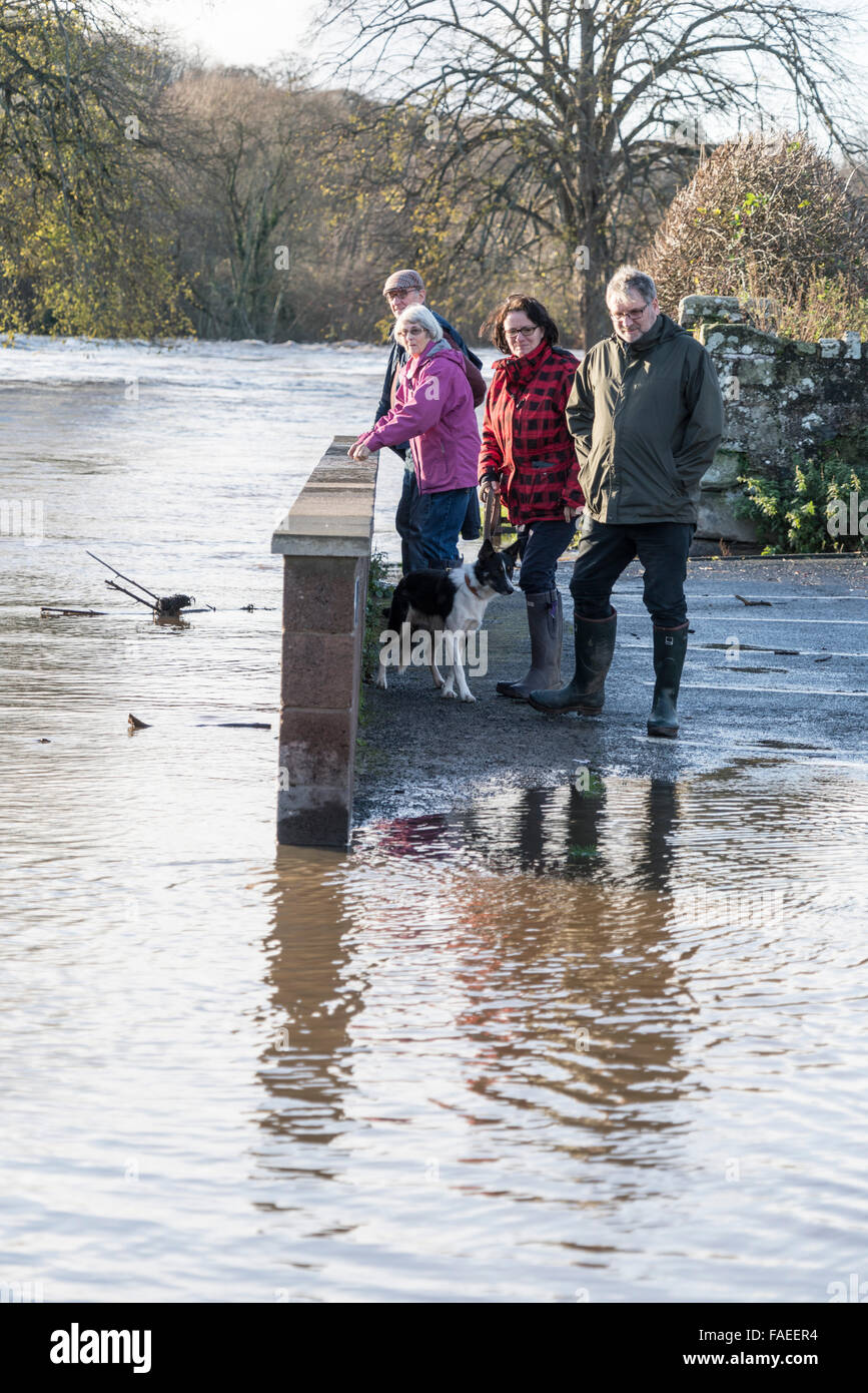 Kelso, Schottland, Hochwasser des Tweed auf 6. Dezember 2015, das erste Wasser Ebene steigen von einem Winter anfällig für Überflutungen Stockfoto