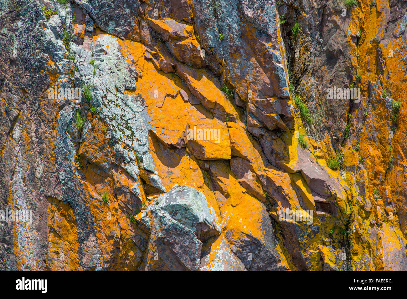 Nahaufnahme des gelben gold Felswand auf Klippe am nördlichen Ufer des Lake Superior in Minnesota Stockfoto