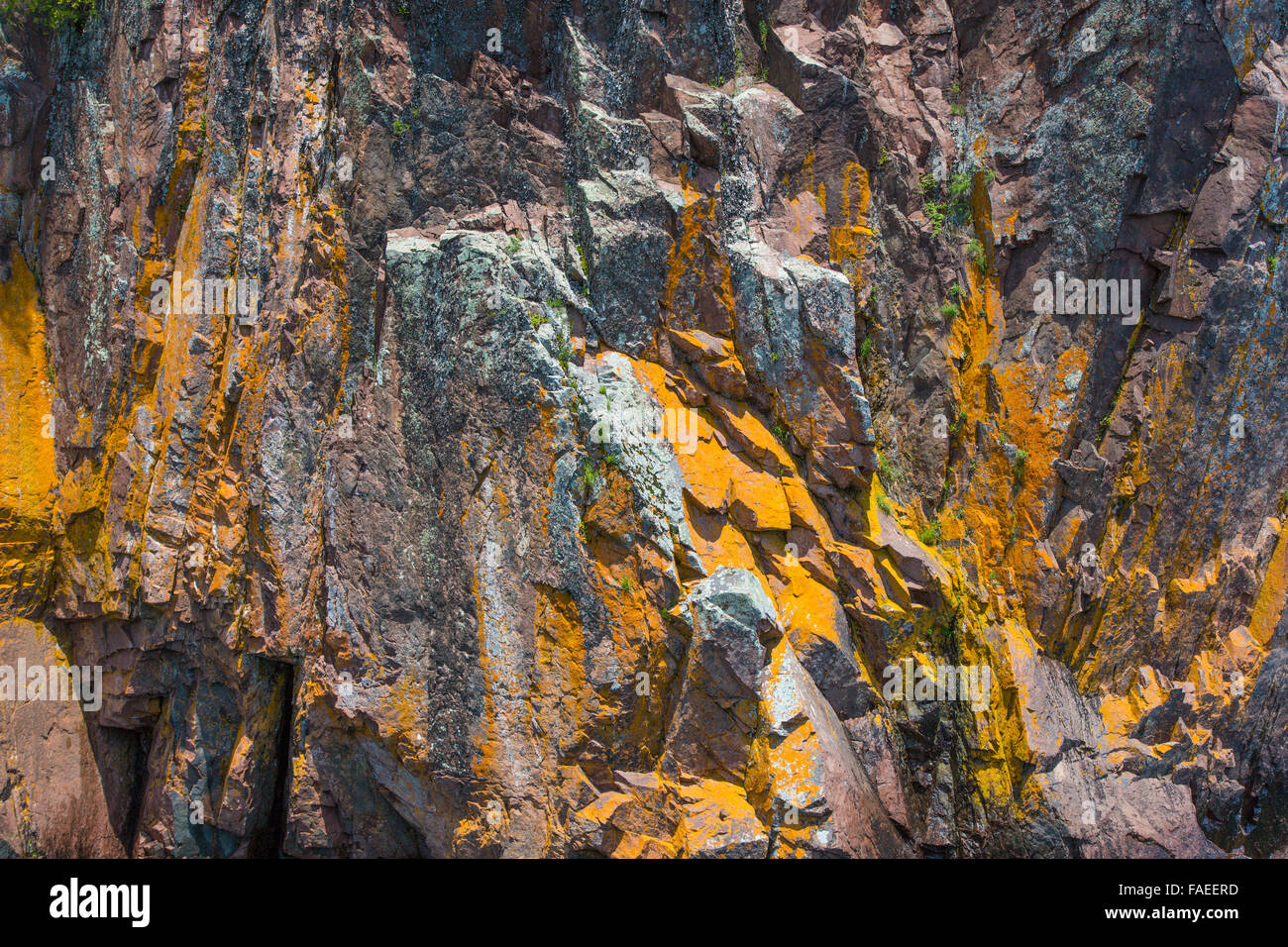 Nahaufnahme des gelben gold Felswand auf Klippe am nördlichen Ufer des Lake Superior in Minnesota Stockfoto