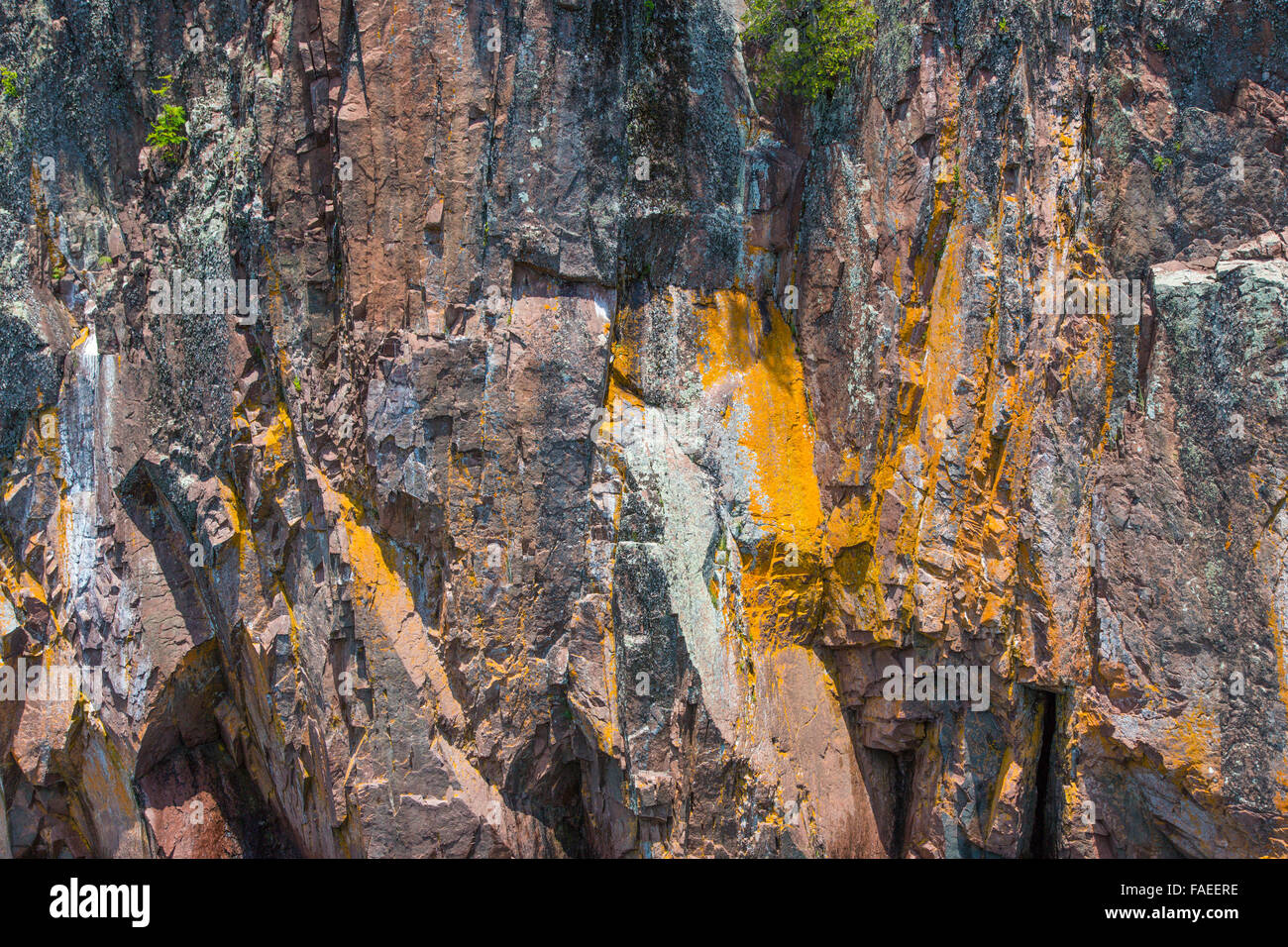 Nahaufnahme des gelben gold Felswand auf Klippe am nördlichen Ufer des Lake Superior in Minnesota Stockfoto