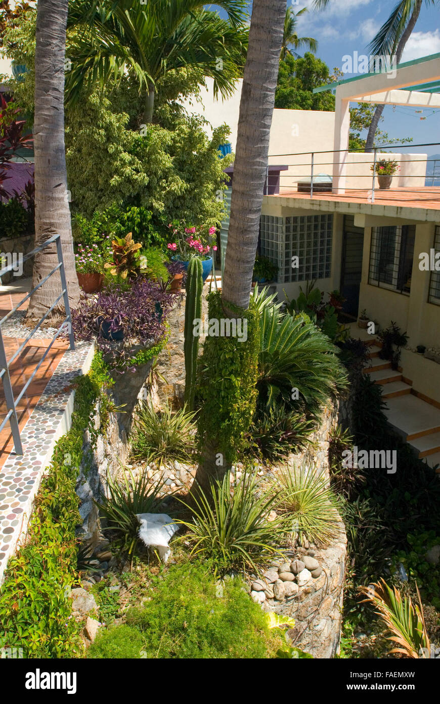 Acapulco, Mexiko: Ariden Tropengarten und Bürgersteig mexikanischen Zuhause. Stockfoto