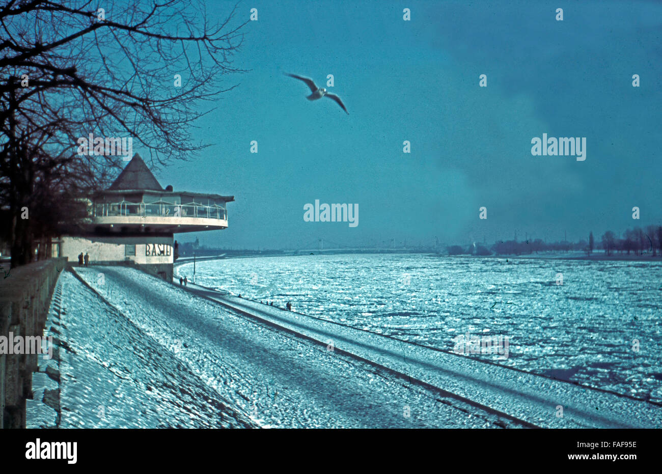 Eisschollen Treiben Auf Dem Rhein in Köln Mit Blick Auf Die Bastei, 1950er Jahre Deutschland. Blatt des Eises schwimmend auf dem Rhein in Köln mit Blick auf die Bastei Restaurant, Deutschland der 1950er Jahre. Stockfoto