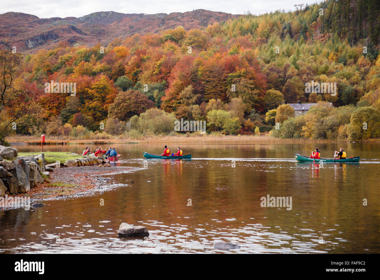 Eine Gruppe junger Leute Paddeln kanadische Kanus auf See Llyn Geirionydd im Gwydyr Forest Park in Snowdonia im Herbst. Wales UK Stockfoto