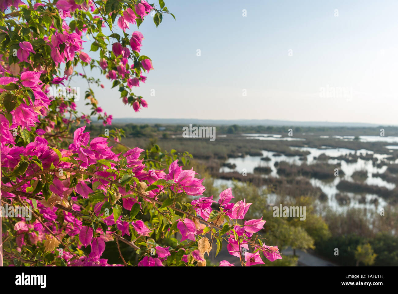 Große salzwasser Lagune von Alcudia auf Mallorca. Stockfoto