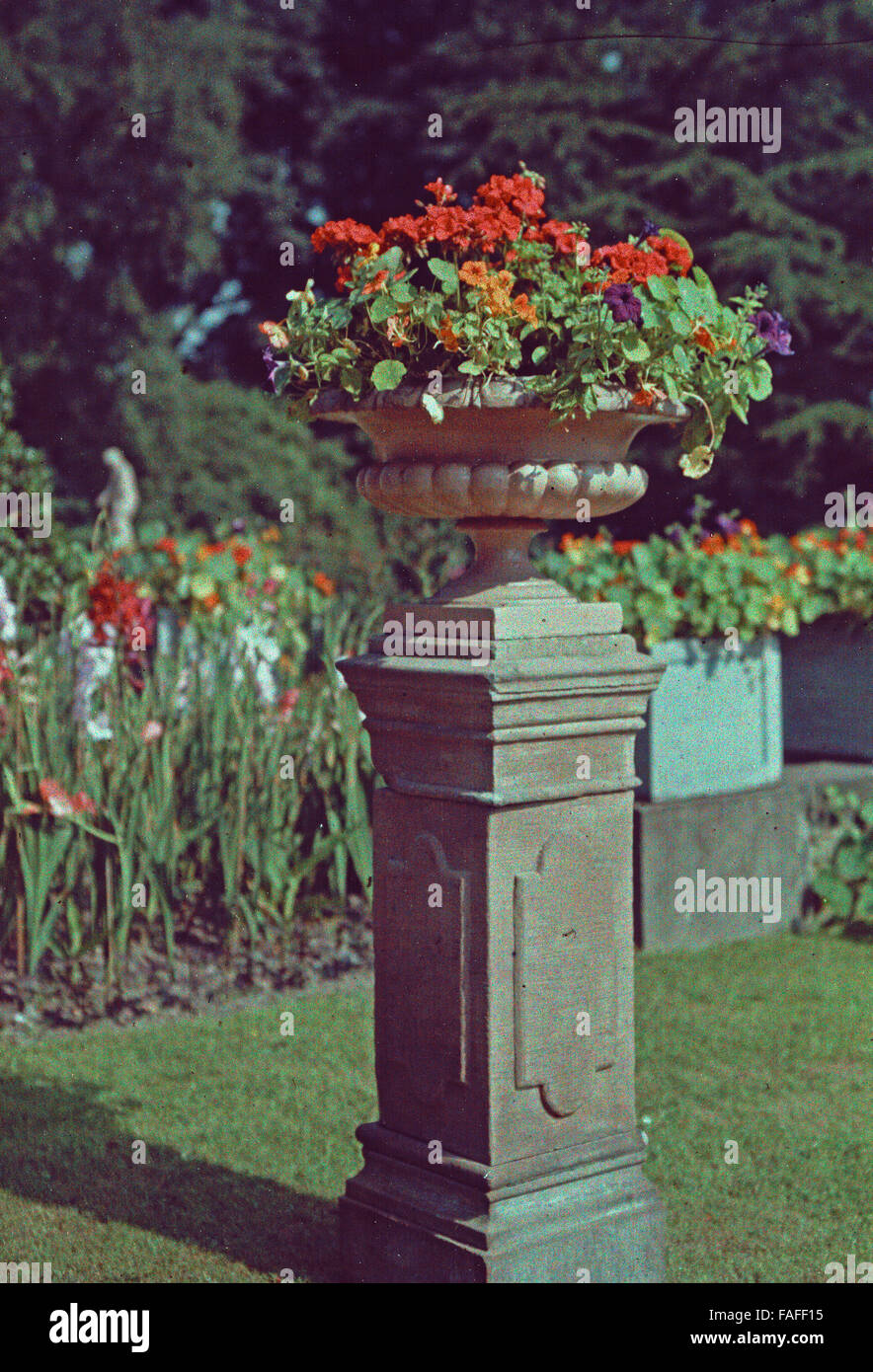 Frühe Farbaufnahme von Einems Besuch in Den Botanischen Gärten der Flora in Köln, Deutschland 1910er Jahre. Schon früh Farbe Fotografie einen Besuch im Botanischen Garten Flora in Köln 1910er Jahre. Stockfoto