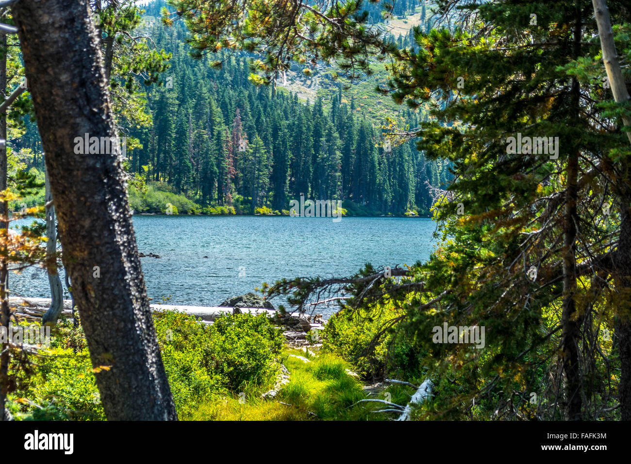 Castle Lake ist ein Gletschersee in Nordkalifornien am östlichen Rand des Klamath Mountains, in Siskiyou County gelegen Stockfoto