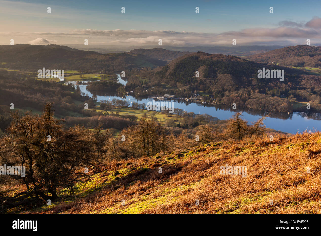 Lakeside und Sommer Haus Knott gesehen von Gummer wie in der Nähe von Newby Brücke, Lake District, Cumbria Stockfoto