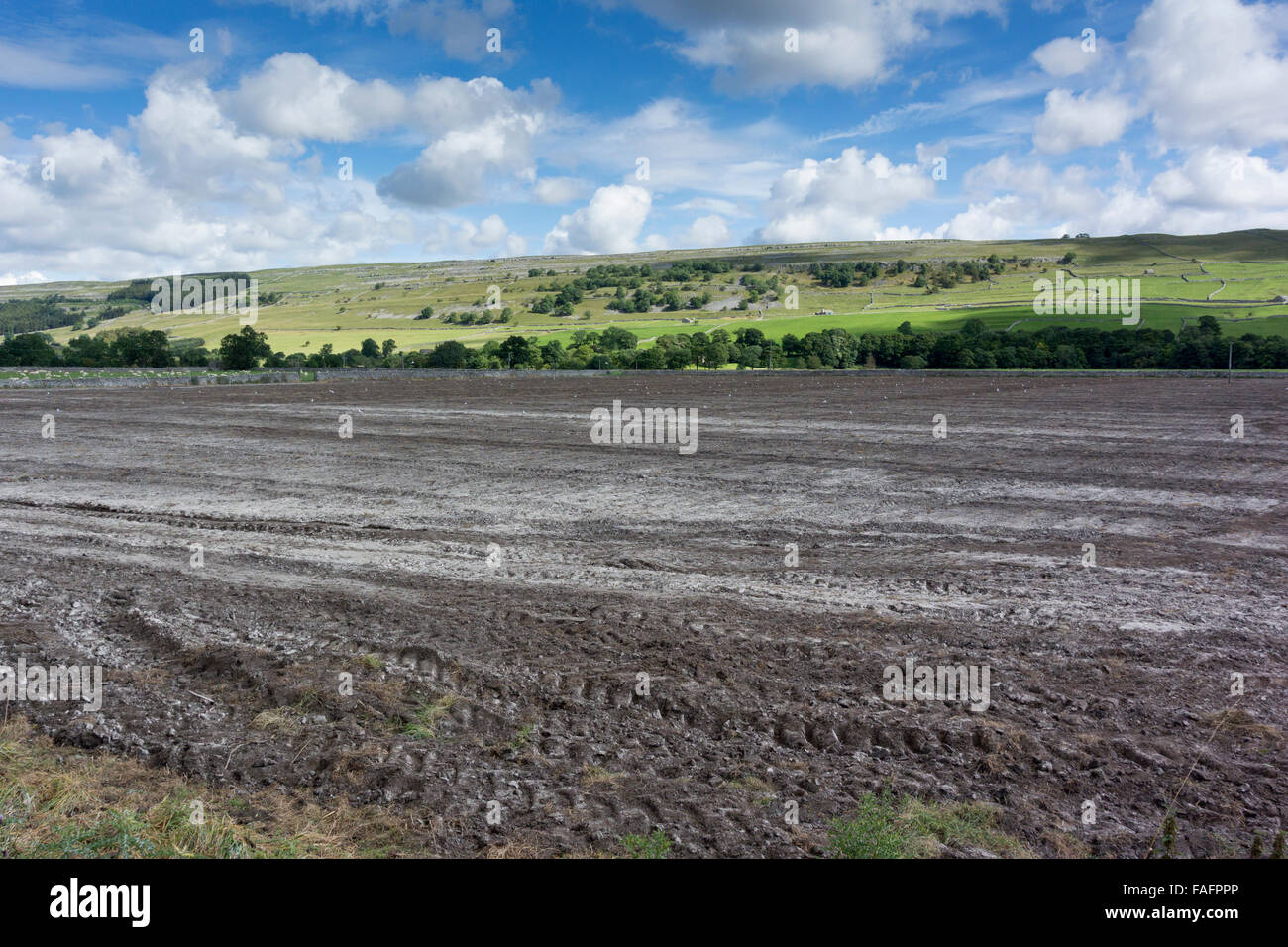 Nachgesäten Feld, das auch, zur Verbesserung der Bodenfruchtbarkeit, Wharfedale, North Yorkshire, Großbritannien gekalkt worden Stockfoto