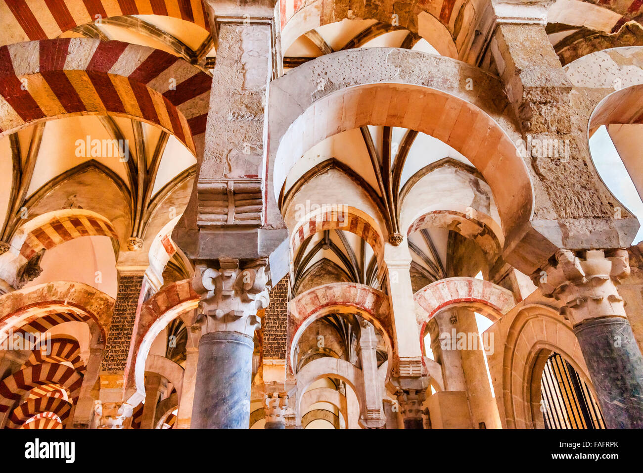 Bögen, Säulen Mezquita Cordoba Spanien.  785 als Moschee gegründet, wurde zu einer Kathedrale in der 1500 umgebaut.  850 Spalten Stockfoto
