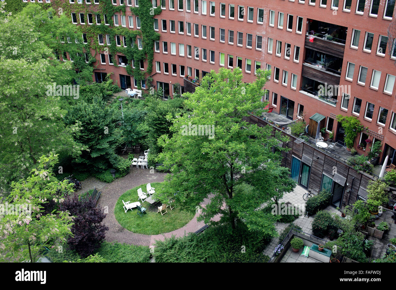 Gemeinschaftsgärten hinter Apartments im GWL-Terrein, eine autofreie Wohnsiedlung in Amsterdam. Stockfoto