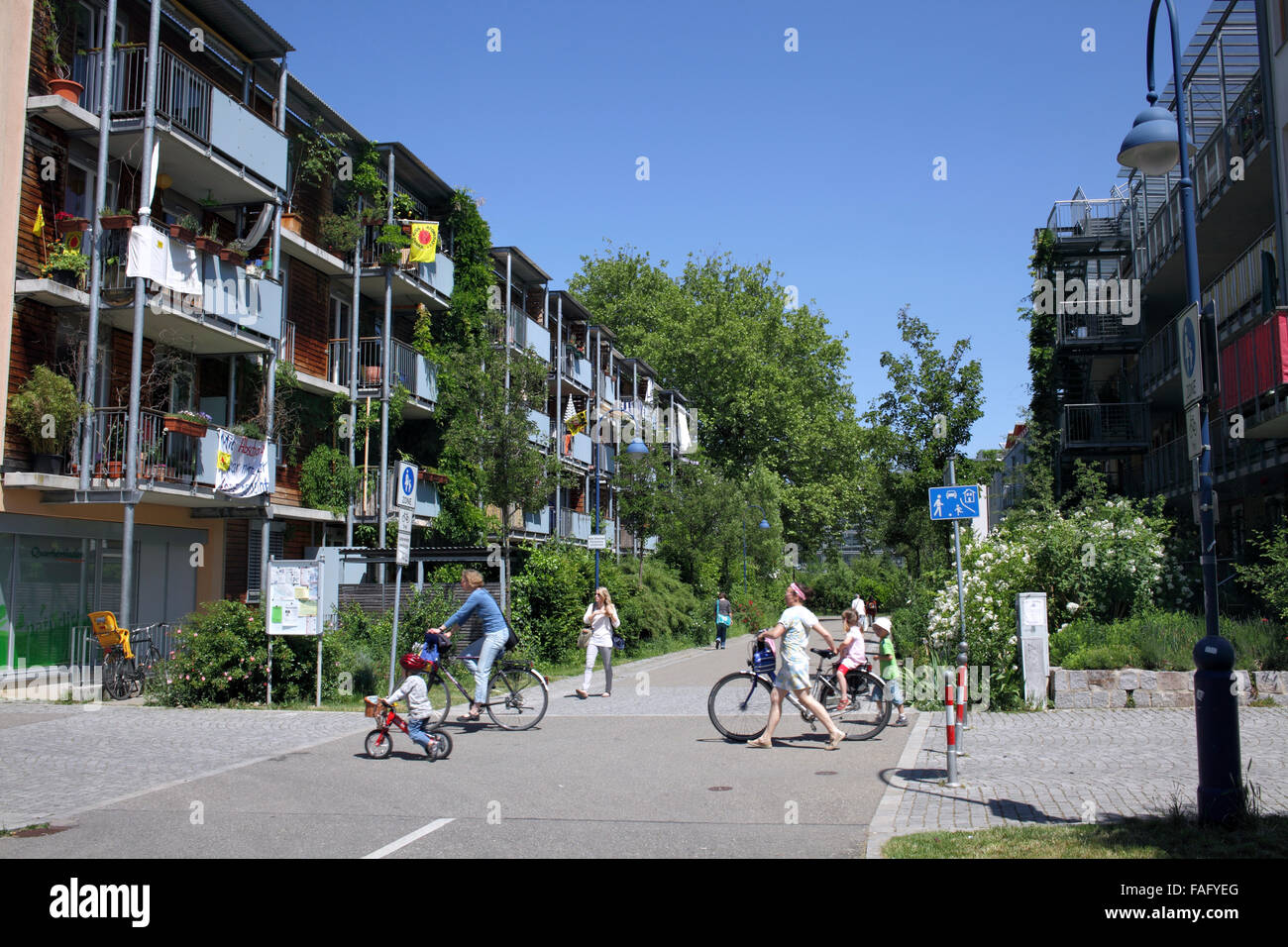 Gehäuse und Radfahrer im grünen Stadtteil Vauban, Freiburg, Deutschland. Stockfoto
