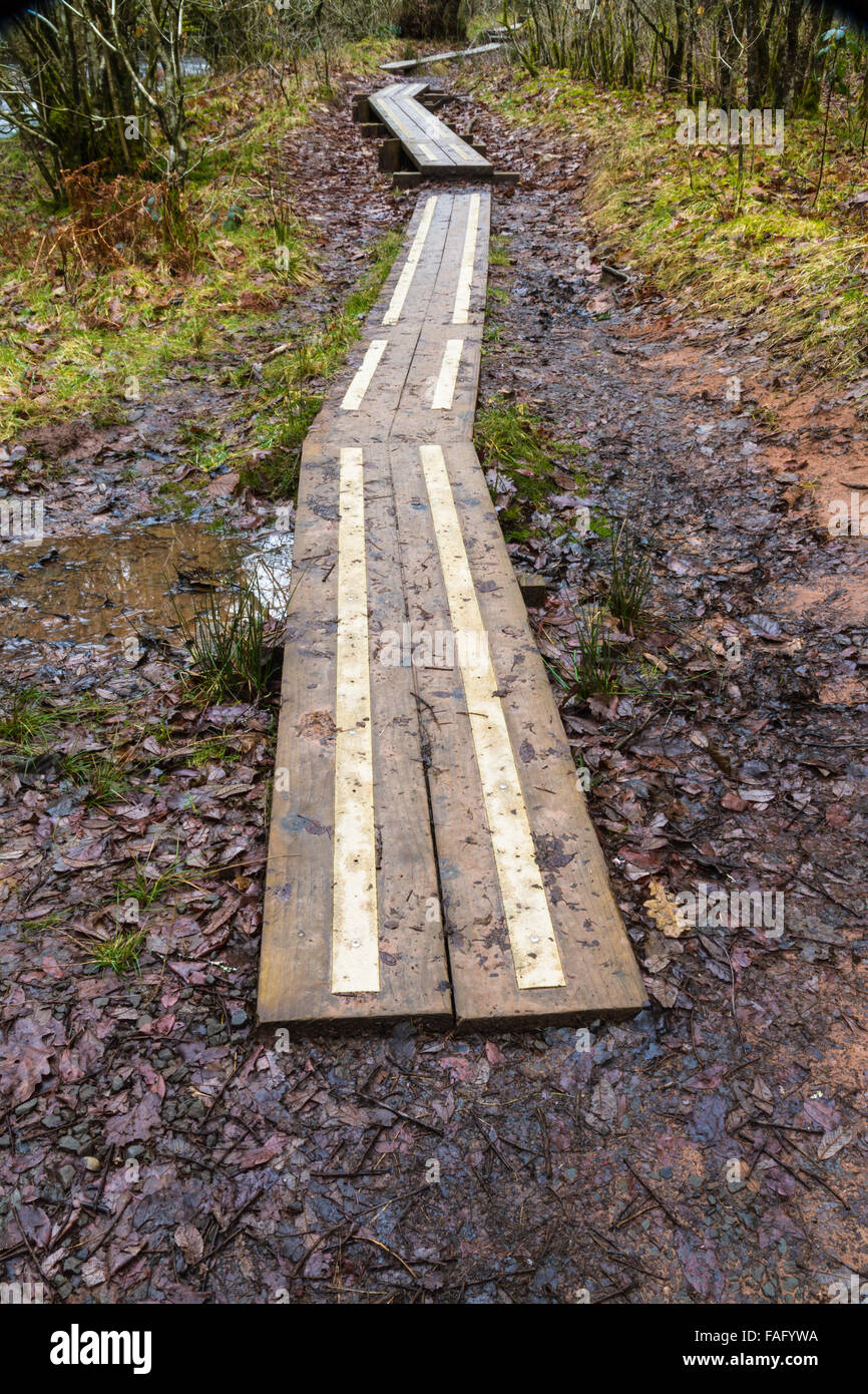 Holzbretter machen eine Promenade mit Metall Streifen um zu ermöglichen, auf schlammigen Pfaden. Stockfoto