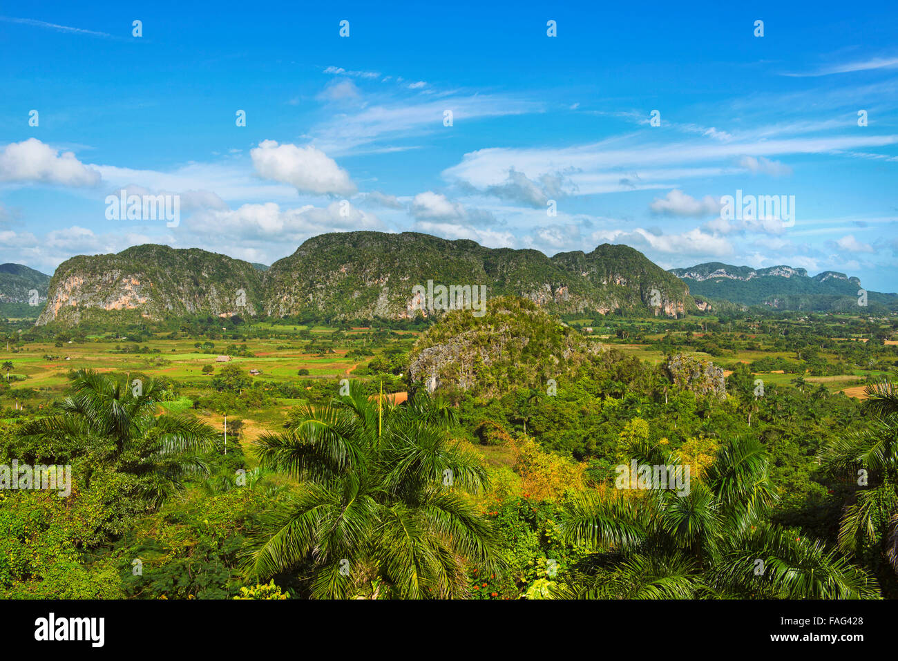 Vinales Tal Kuba Stockfoto