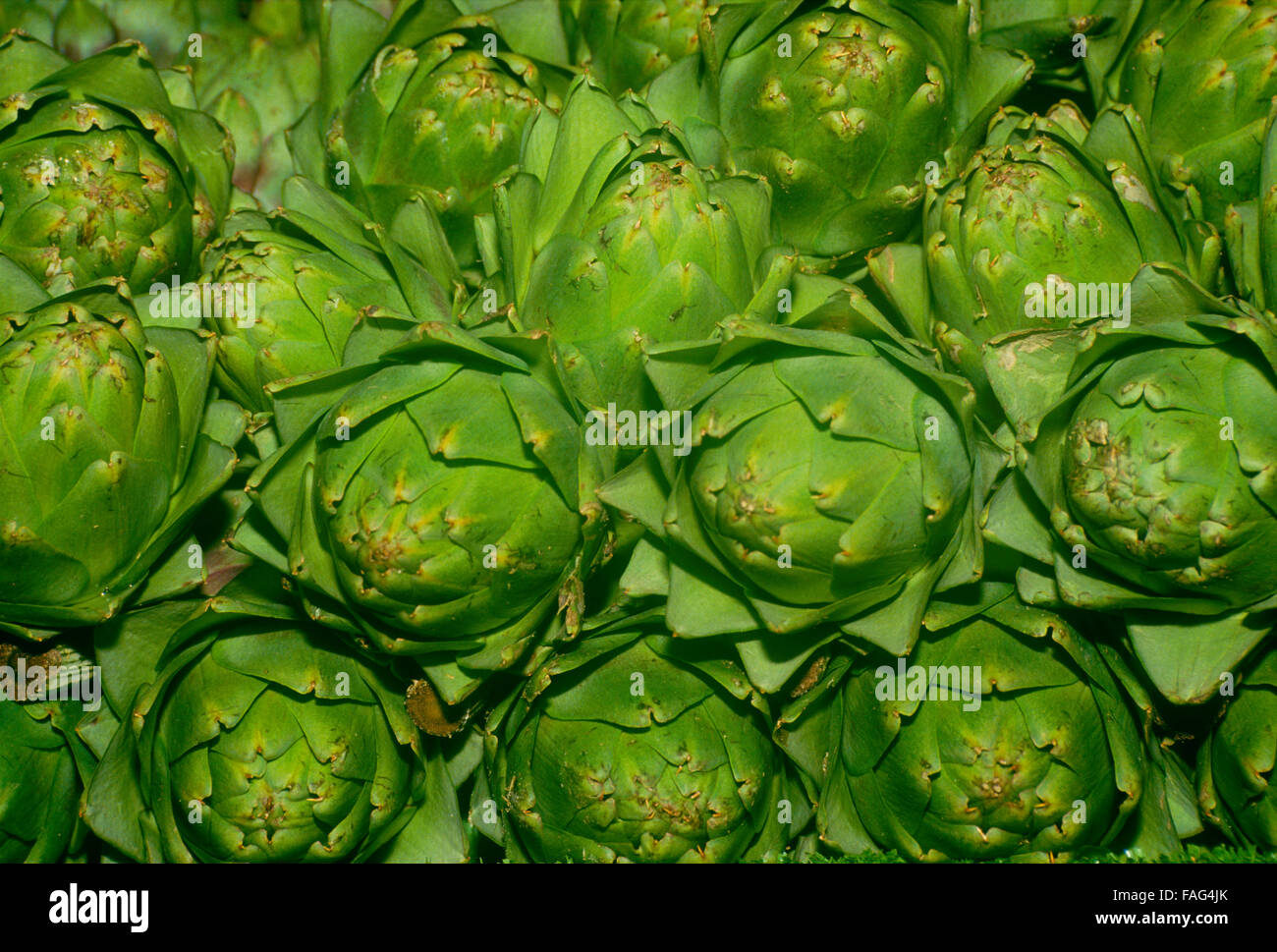 Artischocken als Kunst in Trauben, Kalifornien, USA Stockfoto