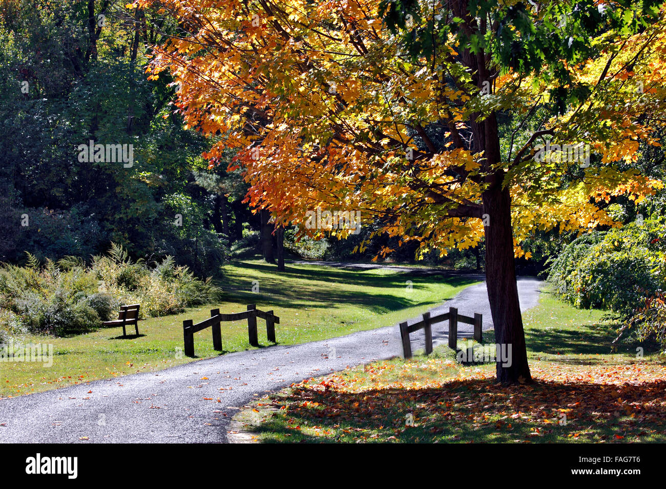 Tibbetts Brook Park Yonkers New York Stockfoto