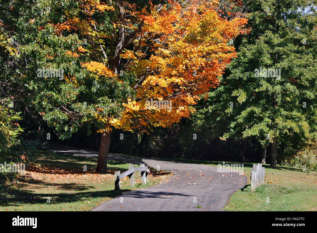 Tibbetts Brook Park Yonkers New York Stockfoto